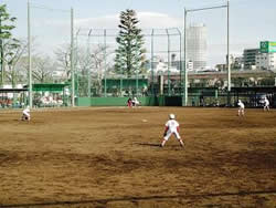 少年野球場