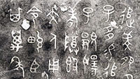 追?